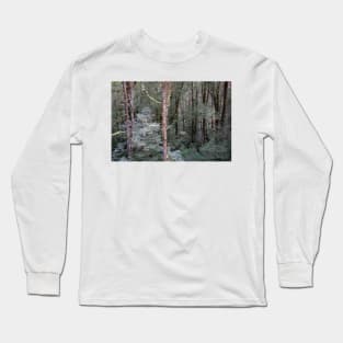 Tall, bare tree trunks. Long Sleeve T-Shirt